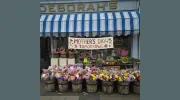 Deborah's The Florist