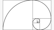 The Garden Construction