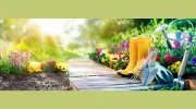 Hoe & Mow Garden Services