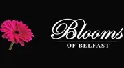 Blooms of Belfast