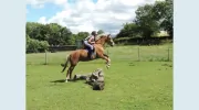 Bank House Equestrian