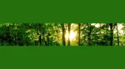 Professional Counselling Service