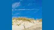 Beachlets