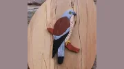 Kestrel Bespoke Furniture