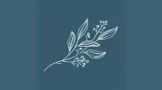 Droitwich Florist