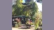 Bluebell Arboretum & Nursery