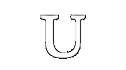 Unique-Detail