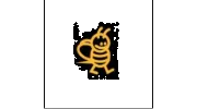 Black Bee I T