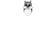 The Fox
