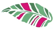Washingborough Reflexology & Pain Clinic