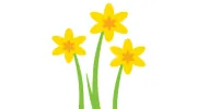 Springdene Care Homes