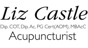 Liz Castle