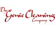 The Genie Cleaning