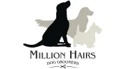 Million Hairs