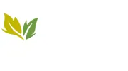 Slade Landscapes