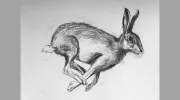 Lynsey Cleaver Artist