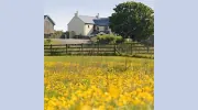 Vose Farm Holiday Cottages