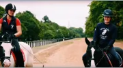Hyde Park Stables