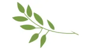 Warwick Park Dental Practice