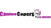 Canine Capers of Chester
