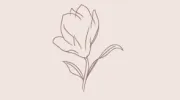 Wild About Flowers