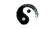 Jack Chan TCM Clinic