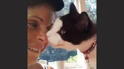 Purr-fect Kitty
