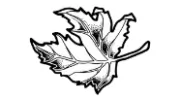 Wilkinsons Landscapes