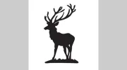 Wollaton Park Golf Club