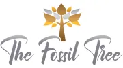 The Fossil Tree Hotel