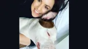 Barkley's Dog Grooming