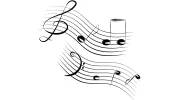 Musical Instruments & Repairs