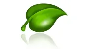 Eco Tech Oven & Carpet Cleaning