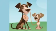 Dogs 4 Walks