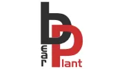 Bear Plant