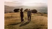 Our Dog Walkers