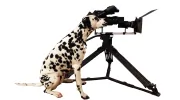 Ceres Productions