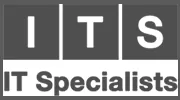IT Specialists
