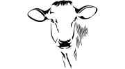 The Brown Cow