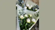 Endrick Blooms
