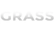 Polished Artificial Grass