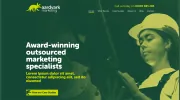 Aardvark Marketing