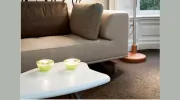 Alicat Cleaning Services
