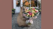 Flowers By Moonstones