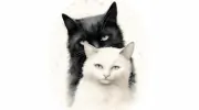 Berrylands Cattery
