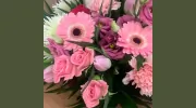 Floral Shop