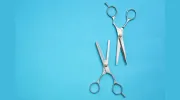 Clips Grooming Parlour