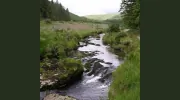 Mid Wales Trading