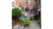 Glastonbury Galleries