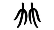 Anne Etherton Acupuncture